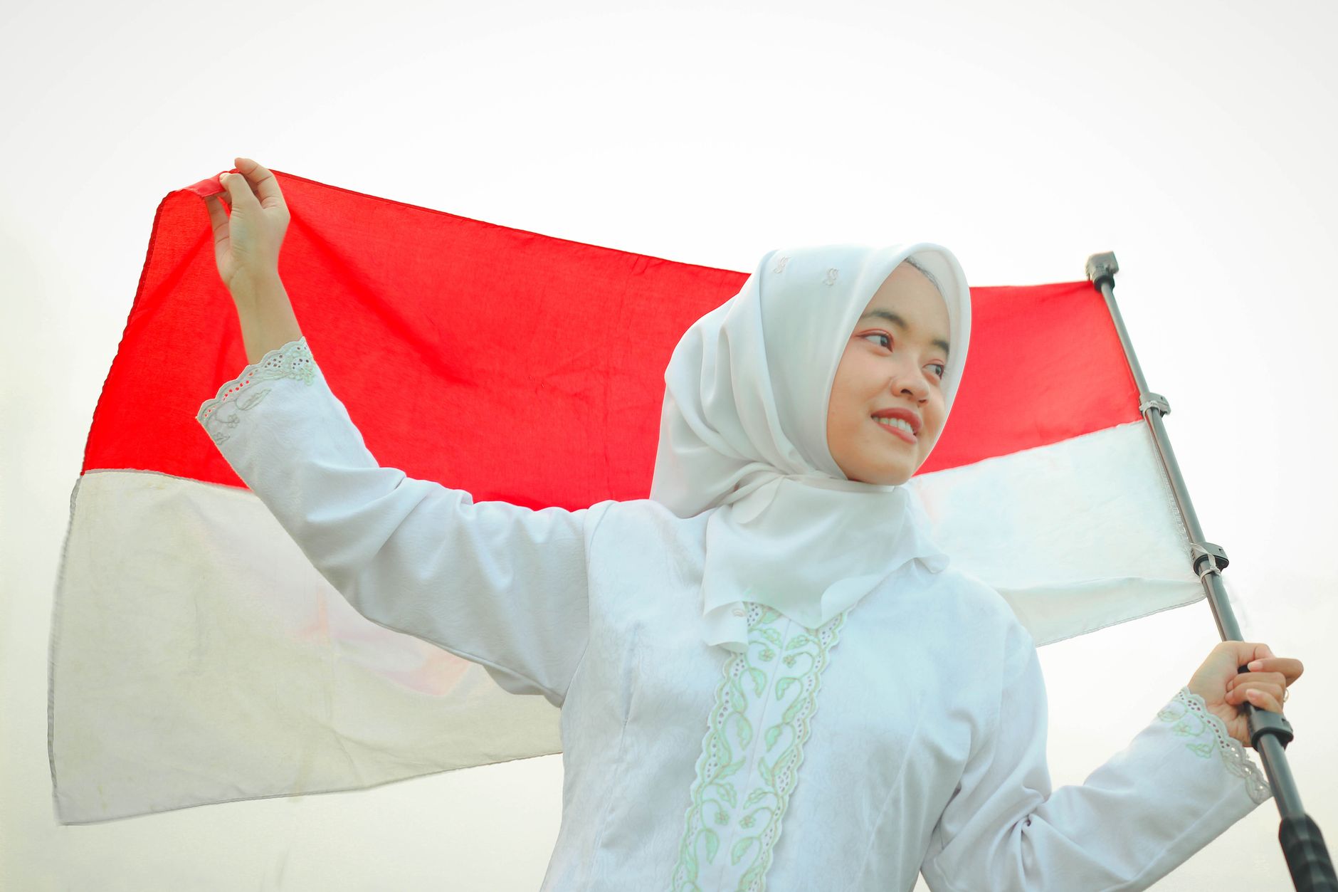 Biar Nggak Oleng: Kok Kita di Indonesia Perlu Banget Punya 'Gas Rem' Politik yang Kuat?